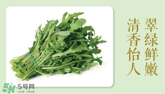 芝麻菜的營養(yǎng)價值_芝麻菜的功效與作用及食用方法 芝麻菜的營養(yǎng)價值_芝麻菜的功效與作用及食用方法