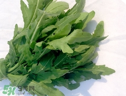 芝麻菜的營養(yǎng)價值_芝麻菜的功效與作用及食用方法 芝麻菜的營養(yǎng)價值_芝麻菜的功效與作用及食用方法