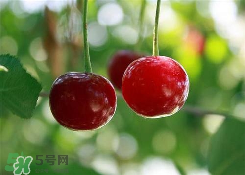 哺乳期能吃櫻桃嗎？哺乳期吃櫻桃寶寶會(huì)上火嗎？