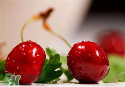 櫻桃和車(chē)?yán)遄佑惺裁磪^(qū)別？櫻桃和車(chē)?yán)遄幽膫€(gè)貴？