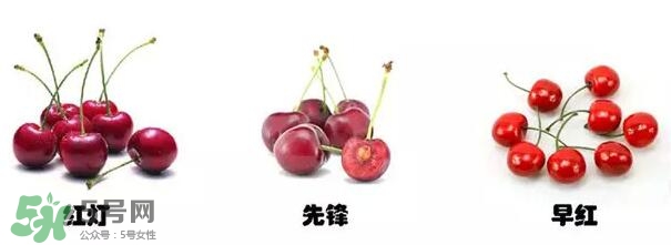 櫻桃和車(chē)?yán)遄佑惺裁磪^(qū)別？櫻桃和車(chē)?yán)遄幽膫€(gè)貴？