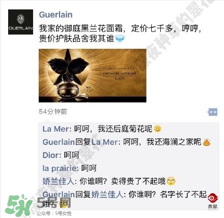 嬌蘭和嬌蘭佳人一樣嗎？嬌蘭和嬌蘭佳人什么聯(lián)系？