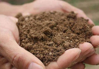 異食癖是什么病？異食癖怎么治