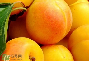 黃桃是什么季節(jié)的？黃桃是轉(zhuǎn)基因的嗎