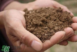 異食癖是什么?。慨愂绸痹趺粗?></p><p>有些時(shí)候，人們認(rèn)為造成異食癖的產(chǎn)生因?yàn)槿变\導(dǎo)致，體內(nèi)缺鋅會造成味覺素分泌減少，味覺素中的唾液蛋白質(zhì)能維持口腔粘膜，對代謝起到非常大的影響。</p><p>通過補(bǔ)鋅能避免味蕾失調(diào)，對味覺減退、味覺敏感消失起到很好的緩解作用。在臨床上也有數(shù)據(jù)顯示，通過補(bǔ)鋅能改善異食癖，緩解異食癖癥狀。</p><p>注意衛(wèi)生</p><p>身邊要是有異食癖患者，最好注意其個(gè)人衛(wèi)生習(xí)慣，養(yǎng)成飯前便后洗手的好習(xí)慣，對咬指甲、吃臟東西的事情，一定要杜絕。</p><p>這就是在生活中，關(guān)于異食癖的介紹，關(guān)于異食癖的原因、危害，以及如何預(yù)防做了相關(guān)的闡述，希望對大家有所幫助，科學(xué)合理的保健，才能獲得健康。</p>		</div>
<div align=