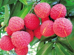 孕婦吃荔枝上火了怎么辦？孕婦吃荔枝對(duì)胎兒好嗎