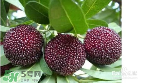 楊梅怎么吃好吃？楊梅怎么吃不酸？