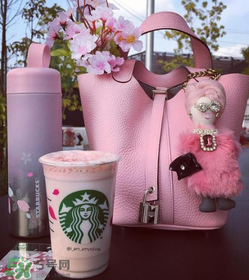 hermes菜籃子包正品多少錢？愛馬仕菜籃子包專柜價(jià)格