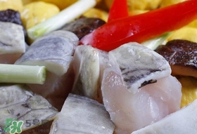 鱷魚肉有刺嗎？鱷魚肉有什么功效