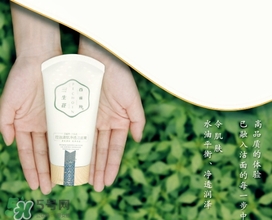 百雀羚三生花洗面奶多少錢(qián)？百雀羚三生花洗面奶價(jià)格