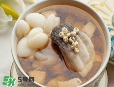 鱷魚肉燉湯要去皮嗎？鱷魚肉煲湯新鮮的好還是干的好