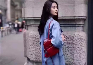 dissona貓咪包正品多少錢？迪桑娜貓咪包專柜價(jià)格