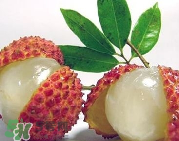 荔枝孕婦可以吃嗎？孕婦吃荔枝會流產(chǎn)嗎？