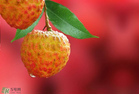 孕婦吃荔枝上火了怎么辦？孕婦吃荔枝對(duì)胎兒好嗎