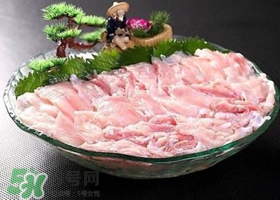 鱷魚肉是發(fā)物嗎？鱷魚肉是不是發(fā)物