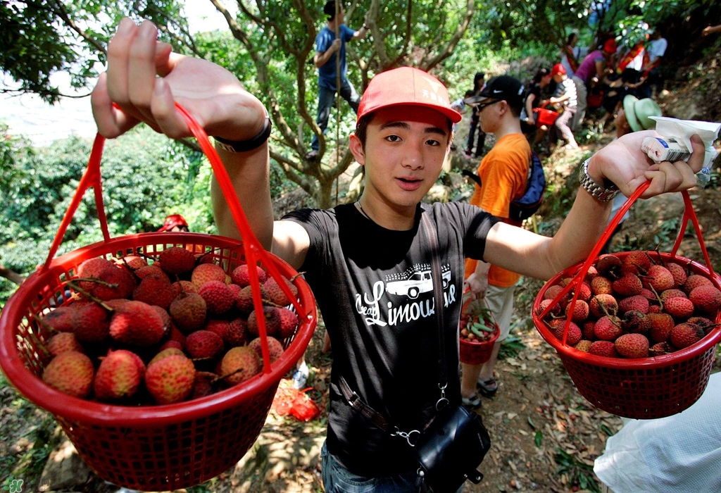 孕婦吃荔枝上火了怎么辦？孕婦吃荔枝對(duì)胎兒好嗎