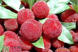 楊梅吃多了會上火嗎？楊梅吃多了會胖嗎？