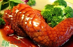 鱷魚(yú)肉是寒性的嗎？ 鱷魚(yú)肉是寒性還是溫性？