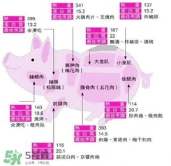 里脊肉是哪個部位？里脊肉是哪里的肉