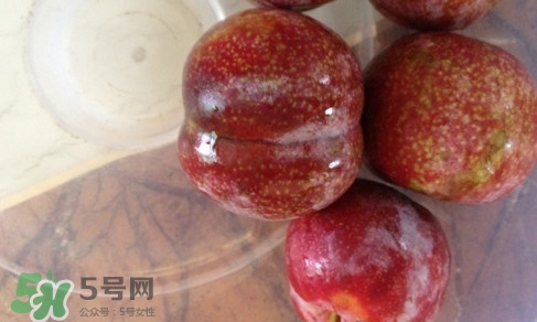 三華李可以和香蕉一起吃嗎？香蕉能和三華李一起吃嗎