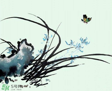 空谷幽蘭是什么書？空谷幽蘭講的是什么？