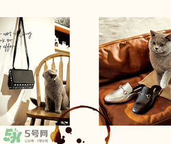 belle是什么牌子？百麗是哪個(gè)國(guó)家的品牌？