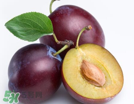 三華李可以放多久？三華李可以冷藏嗎？