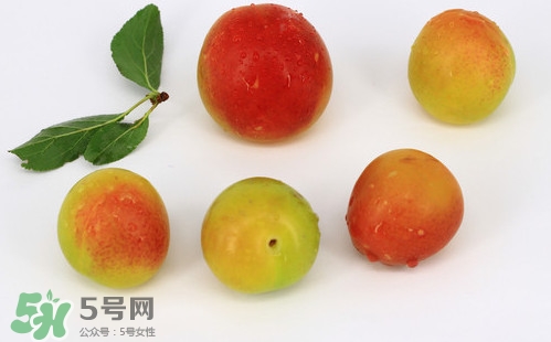 雙華李有什么營(yíng)養(yǎng)？雙華李的營(yíng)養(yǎng)價(jià)值