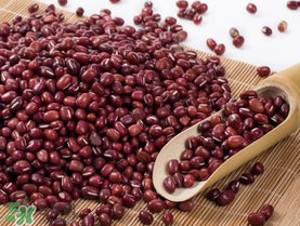 紅豆粽子孕婦可以吃嗎？孕婦可以吃紅豆粽子嗎？