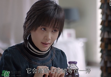 蒼蠅粉是什么意思？蒼蠅粉是什么東西？