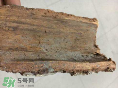 安哥拉樹皮的功效 安哥拉樹皮怎么用？