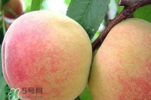 陽山水蜜桃?guī)自路萆鲜?？陽山水蜜桃上市時間