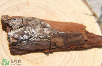 安哥拉樹皮有依賴性嗎？安哥拉樹皮有沒有依賴性？