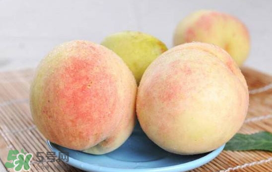 陽(yáng)山水蜜桃多少錢(qián)一斤？無(wú)錫陽(yáng)山水蜜桃價(jià)格