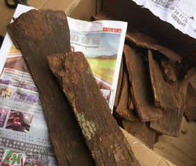 安哥拉樹(shù)皮能天天吃嗎？安哥拉樹(shù)皮天天吃可以嗎？