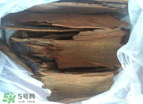 安哥拉樹(shù)皮能天天吃嗎？安哥拉樹(shù)皮天天吃可以嗎？