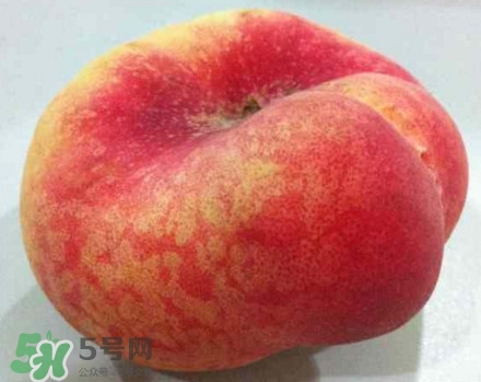 盤桃是蟠桃嗎？盤桃和蟠桃一樣嗎