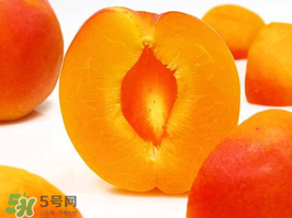 杏子幾月成熟？杏子什么時候成熟？