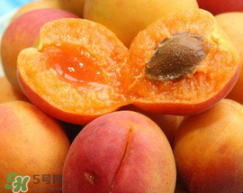 杏子幾月成熟？杏子什么時候成熟？