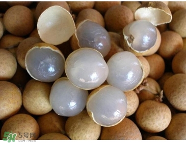 龍眼是熱性還是涼性？龍眼能多吃嗎？