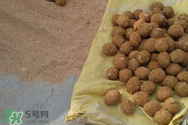 松花蛋是怎么做出來的？松花蛋的家庭腌制方法