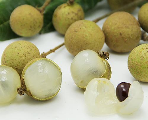 龍眼和桂圓是一種東西嗎？龍眼和桂圓的區(qū)別