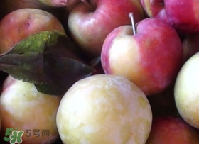 南華李什么時候成熟？南華李和三華李的區(qū)別