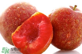 2017錢排三華李價格 三華李市場價格 2017錢排三華李價格 三華李市場價格