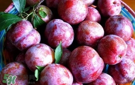 雙華李怎么吃不酸？雙華李不能和什么一起吃？