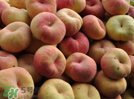 盤桃是蟠桃嗎？盤桃和蟠桃一樣嗎