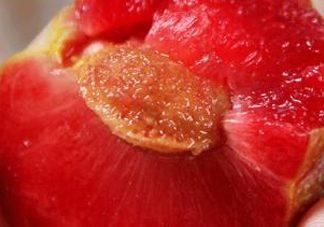 三華李可以和香蕉一起吃嗎？香蕉能和三華李一起吃嗎