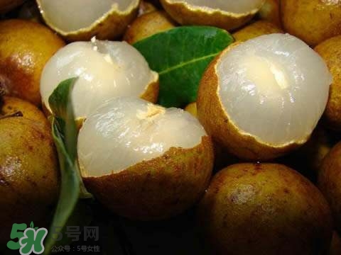 龍眼和桂圓是一種東西嗎？龍眼和桂圓的區(qū)別