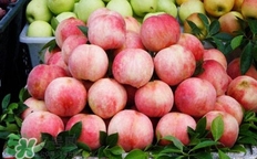 奉化水蜜桃什么時候上市？奉化水蜜桃上市時間