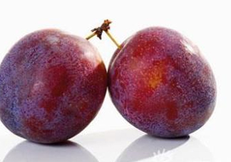 三華李可以放多久？三華李可以冷藏嗎？